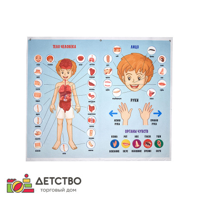 Печатная продукция для ДОУ